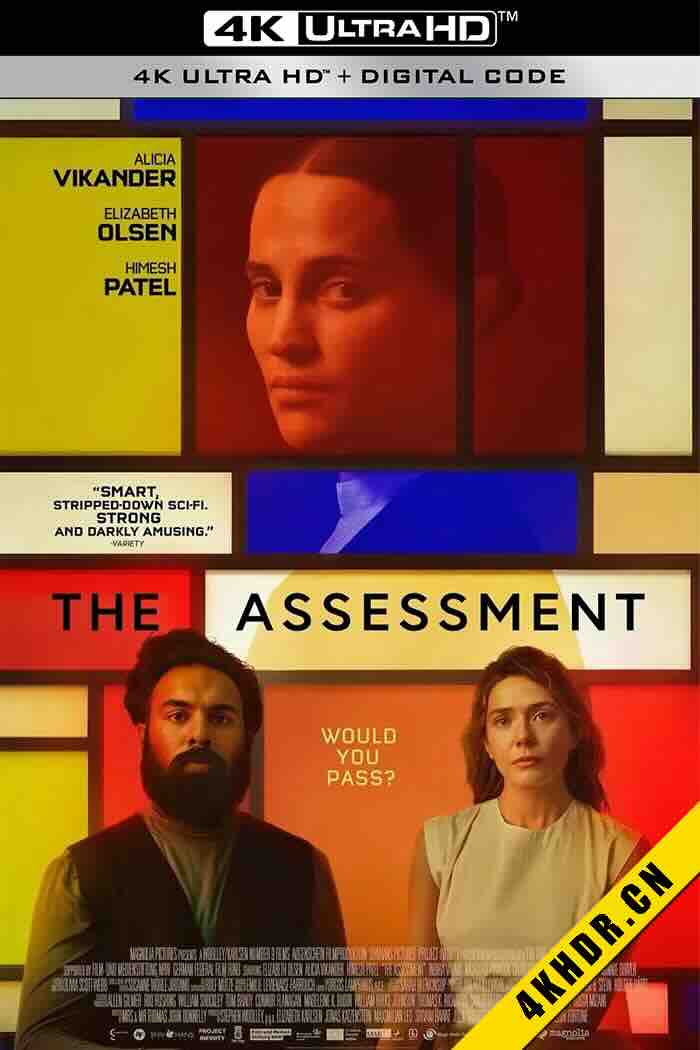 评估 The Assessment 2024