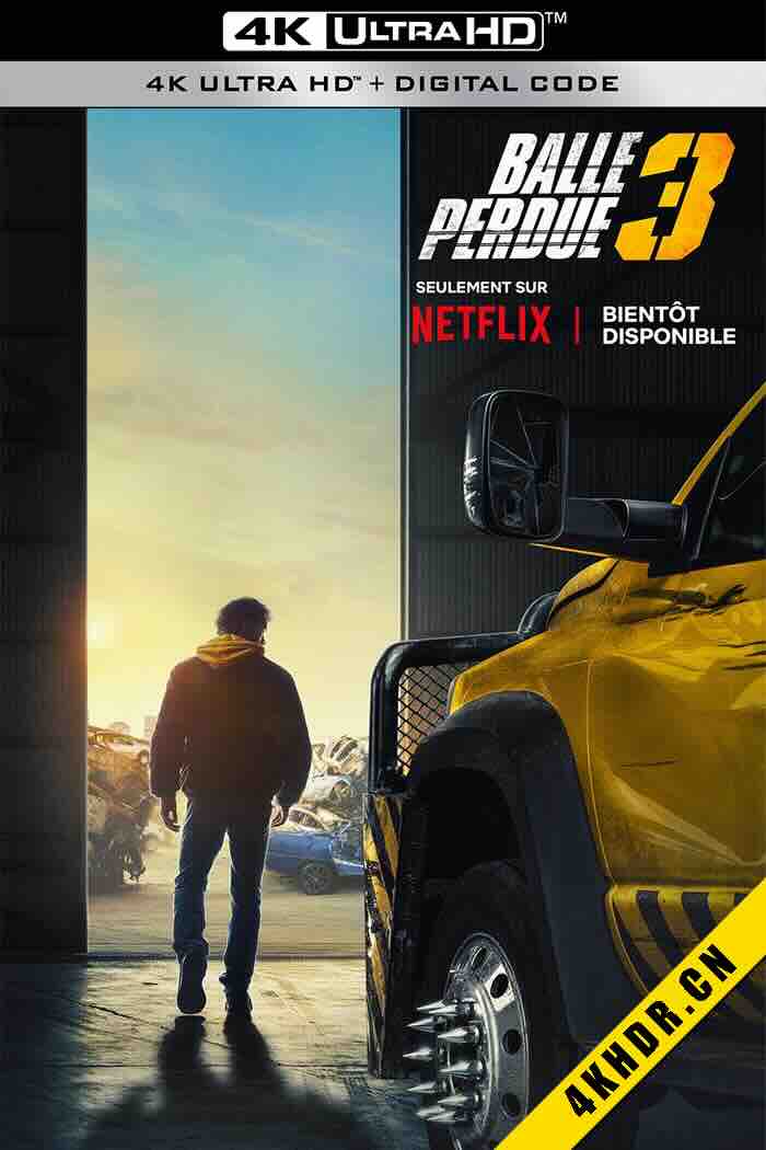罪证子弹3 Balle perdue 3 2025
