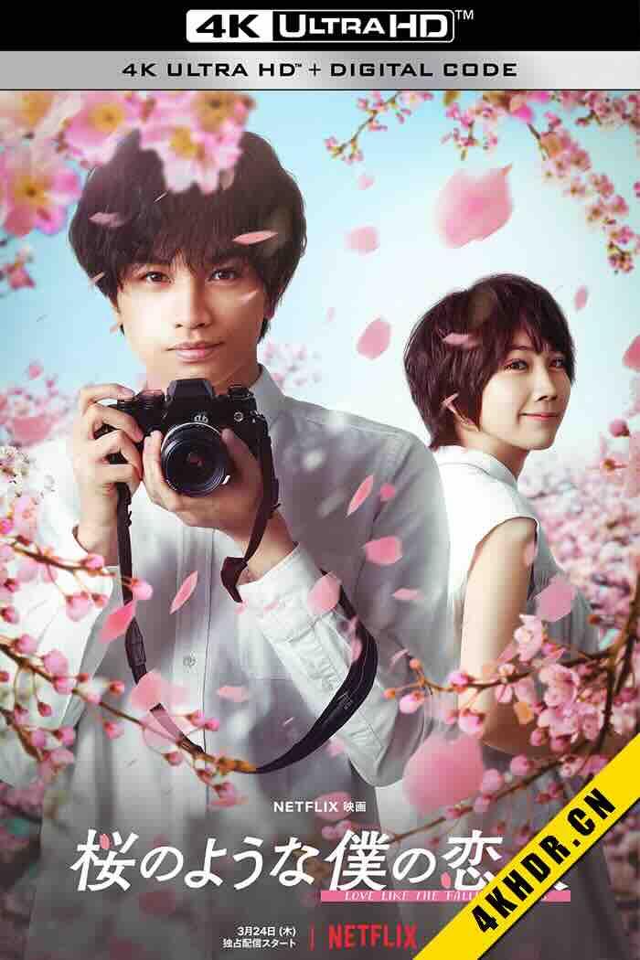 我的樱花恋人 桜のような僕の恋人 2022 日本 6.6