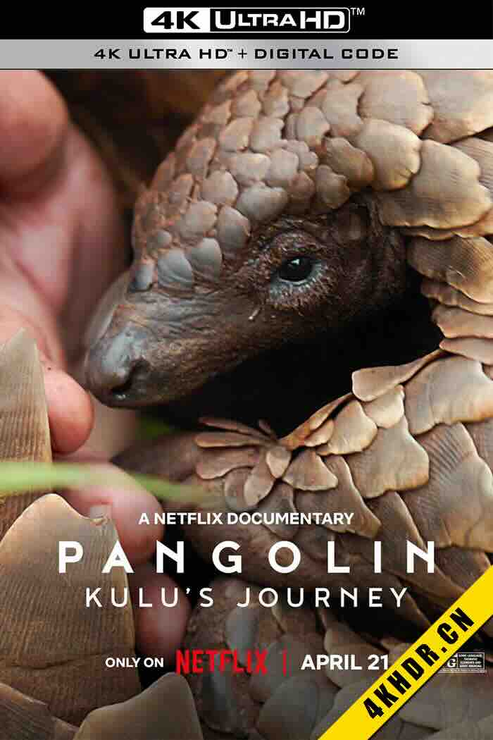 穿山甲Kulu的旅程 Pangolin: Kulu’s Journey 2025 英国 8.0
