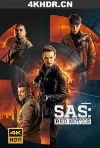 特种空勤团：红色通缉令 SAS: Red Notice (2021) / SAS：红色通知 / SAS：黑天鹅崛起 / SAS: Rise of the Black Swan / S.A.S.Red.Notice.2021.iNTERNAL.HDR10Plus.21...