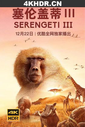 塞伦盖蒂 第三季 Serengeti.S03.2160p.iP.WEB-DL.x265.10bit.HDR.HLG.AAC2....