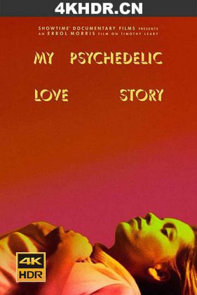 我的迷幻爱情故事 My.Psychedelic.Love.Story.2020.2160p.WEB.H265-NAISU