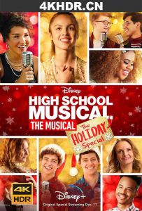 歌舞青春音乐剧：假日特别集 High School Musical: The Musical: The...