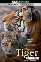 老虎 Tiger (2024) / 4K纪录片下载 / Tiger.2024.2160p.DSNP.WEB-DL.DDP5.1.Atmos.DV.HDR.H.265